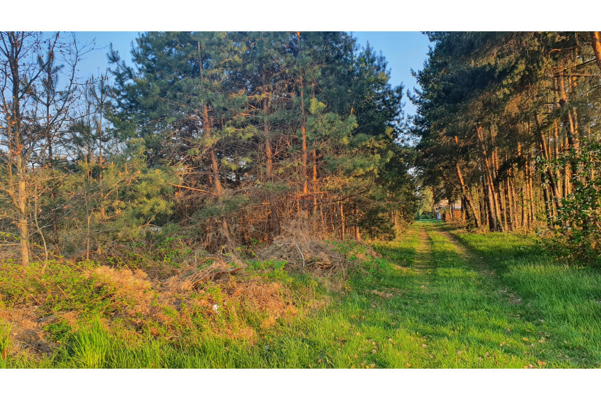 piaseczyński, Grójec, Mirowice, Plot for sale
